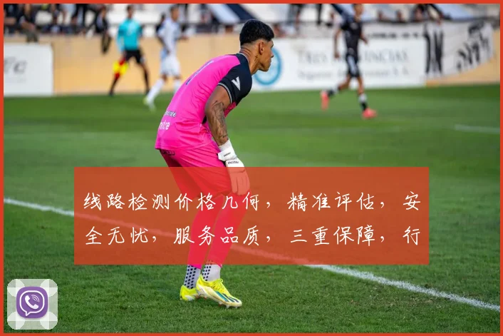 线路检测价格几何，精准评估，安全无忧，服务品质，三重保障，行业领先，报价透明。