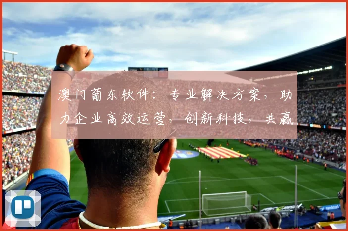 澳门葡东软件：专业解决方案，助力企业高效运营，创新科技，共赢未来