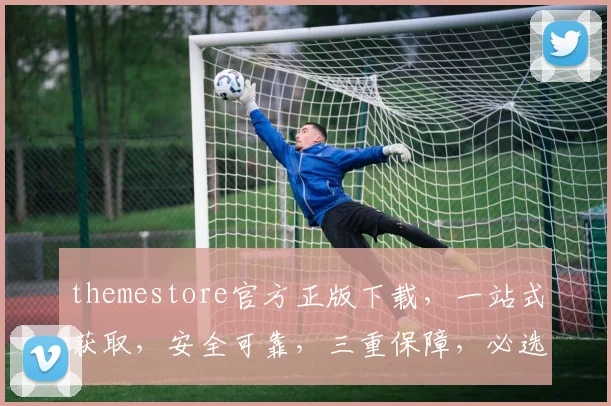 themestore官方正版下载，一站式获取，安全可靠，三重保障，必选首选