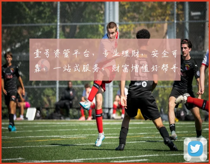 壹号资管平台，专业理财，安全可靠，一站式服务，财富增值好帮手，投资必备
